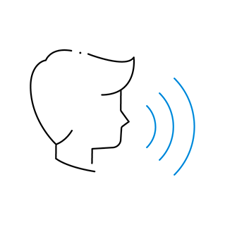 Φωνητικός έλεγχος